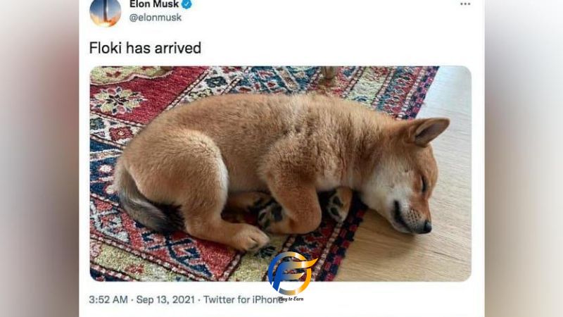 Ra đời nhờ vào 1 dòng tweet của Elon Musk