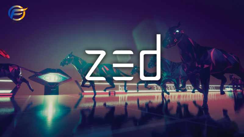 Zed Run